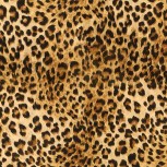 Savannah